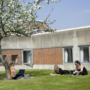 Aalborg University
